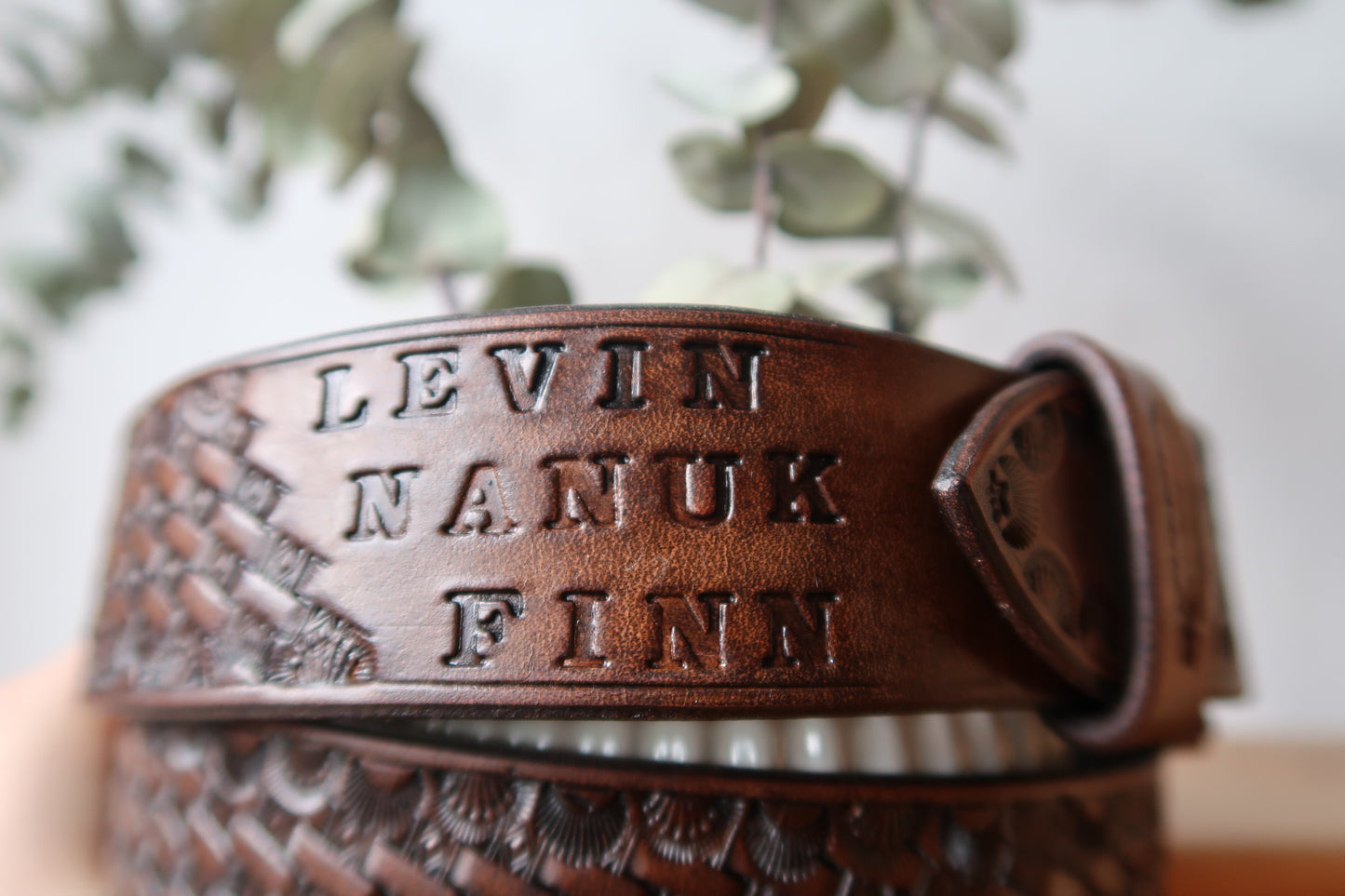 Custom Belt "Minto Flats" ab